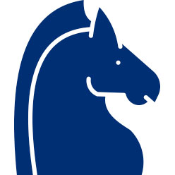 stable icon